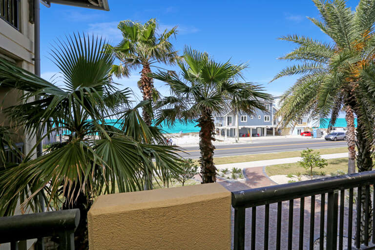 View of the Palm Trees from Deck