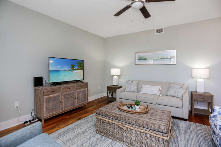 Living Room with Sleeper Sofa & TV Living Room with Sleeper Sofa & TV