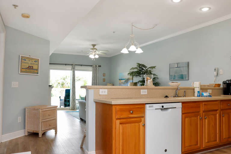 Kitchen and Living Area