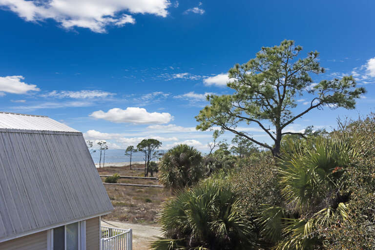 Beach View