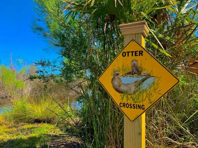 Otter Crossing