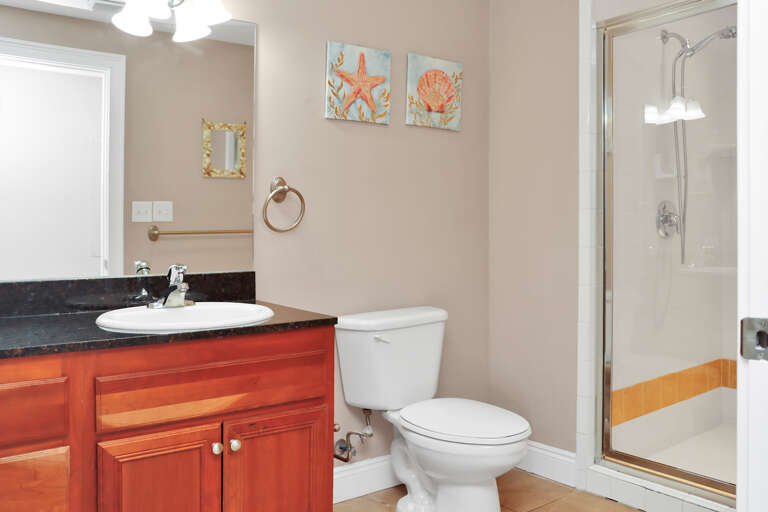 Guest bathroom