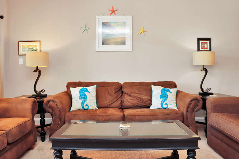 Living Room - Sleeper Sofa