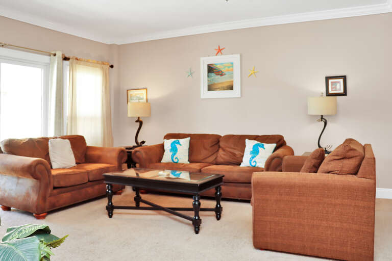 Living Room with Sleeper Sofa