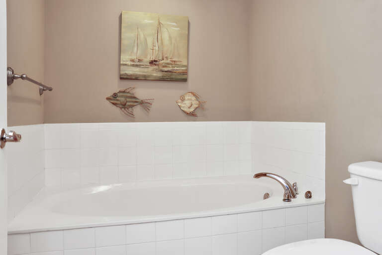 Master Bathroom tub