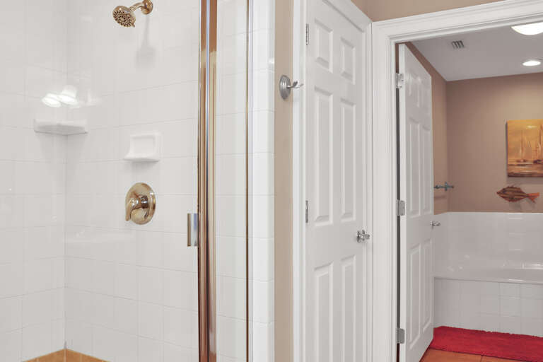 Master Bathroom Shower and Tub