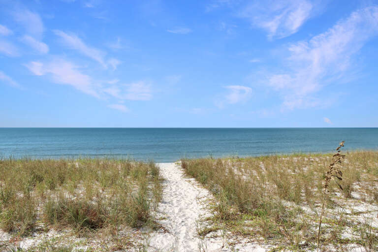 Beach Path from Boardwalk