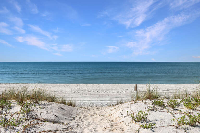 Beach View