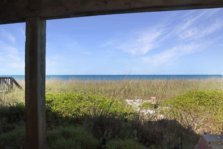 Beach View from Under House