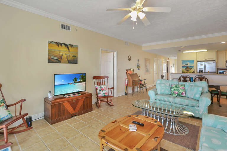 Living Room with TV Living Room with TV
