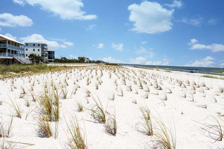 Wide Open Beach