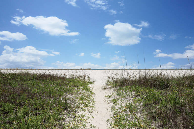 Private Beach Access