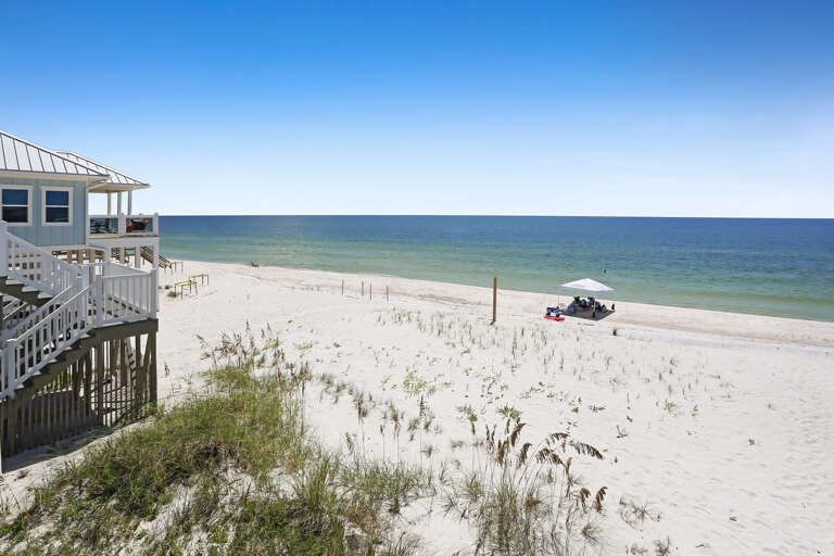 Deck View to the South