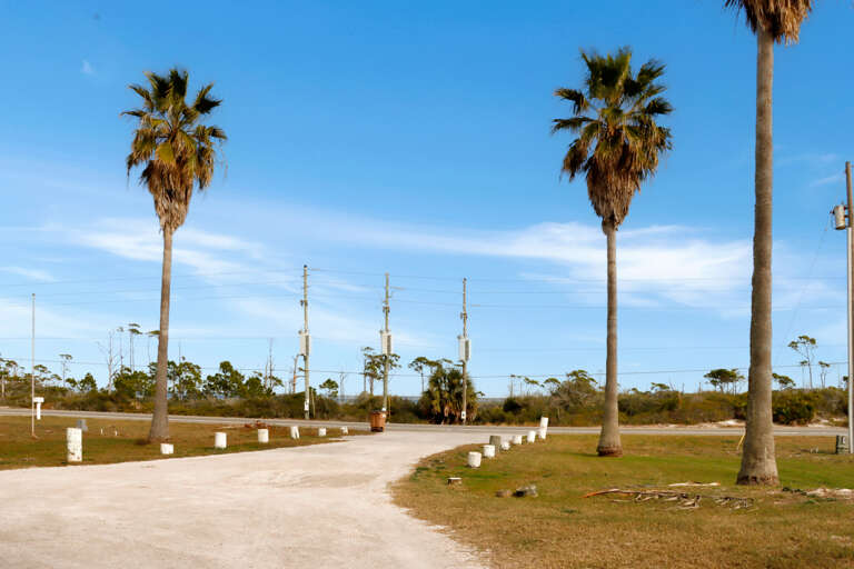 Driveway Across from St. Joseph Bay