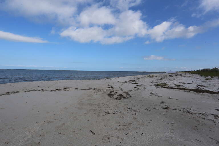Beach to the Right