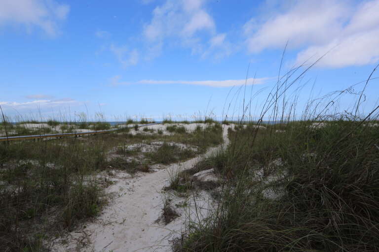 Beach Walkway Beach Walkway