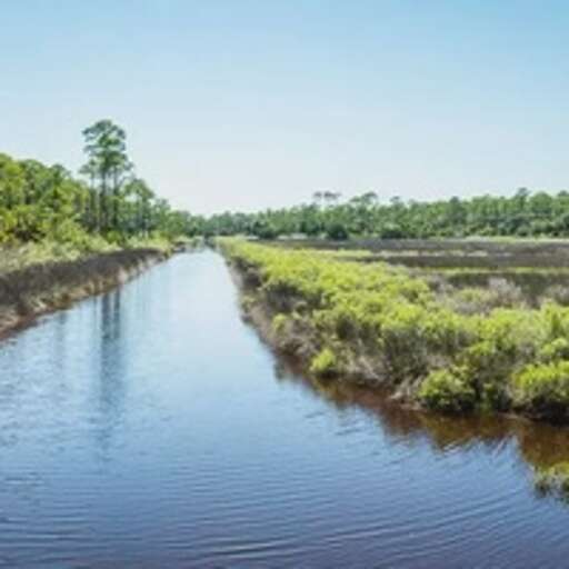 Indian Pass Lagoon