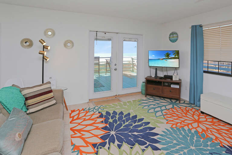 Living Room View & TV