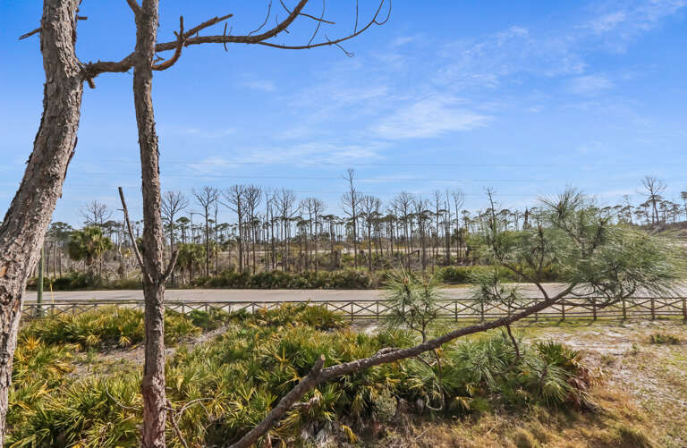 View from Main Level Deck