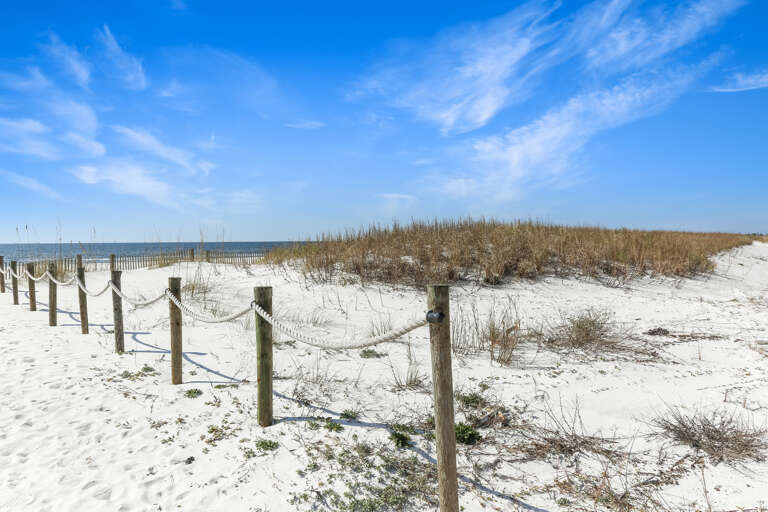 Beach Access