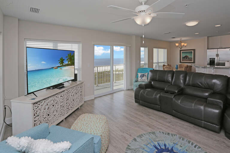 Living Room View & TV Living Room View & TV