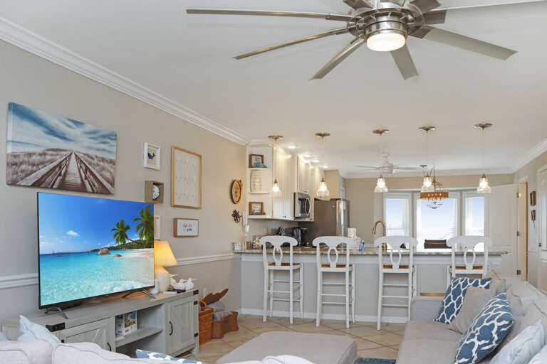 Living Room and Bar Seating