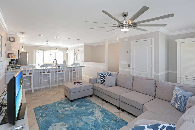 Living Room & Kitchen