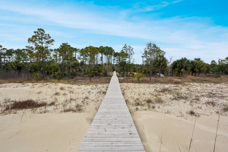 View Towards the House from Boardwalk