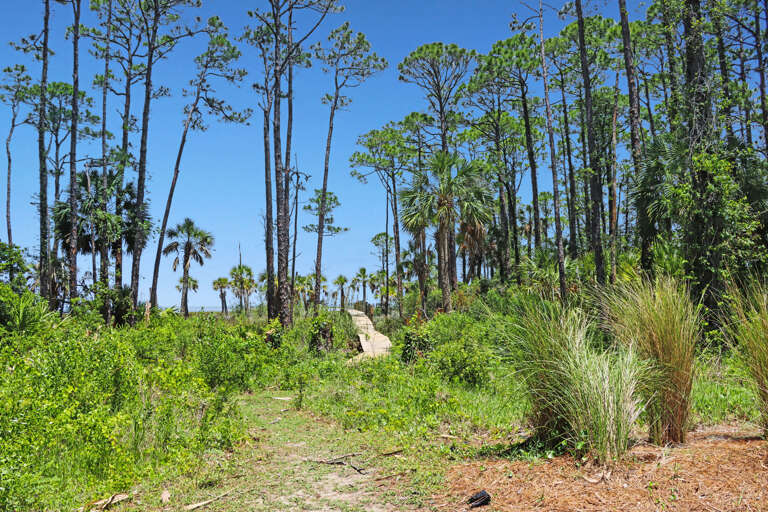 Dock to the Bay Available for All 3 Spots Dock to the Bay Available for All 3 Spots