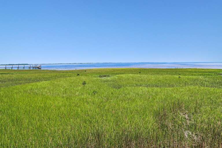 Gorgeous View from Dock Gorgeous View from Dock