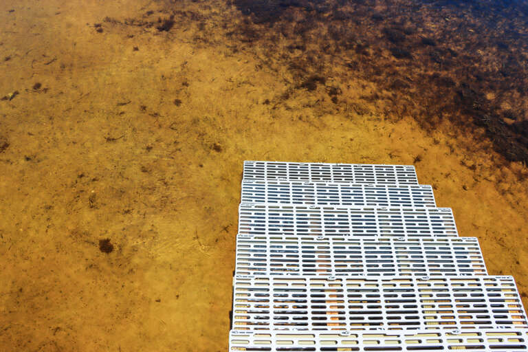 Very Shallow Water Accessed by Dock Stairs Very Shallow Water Accessed by Dock Stairs