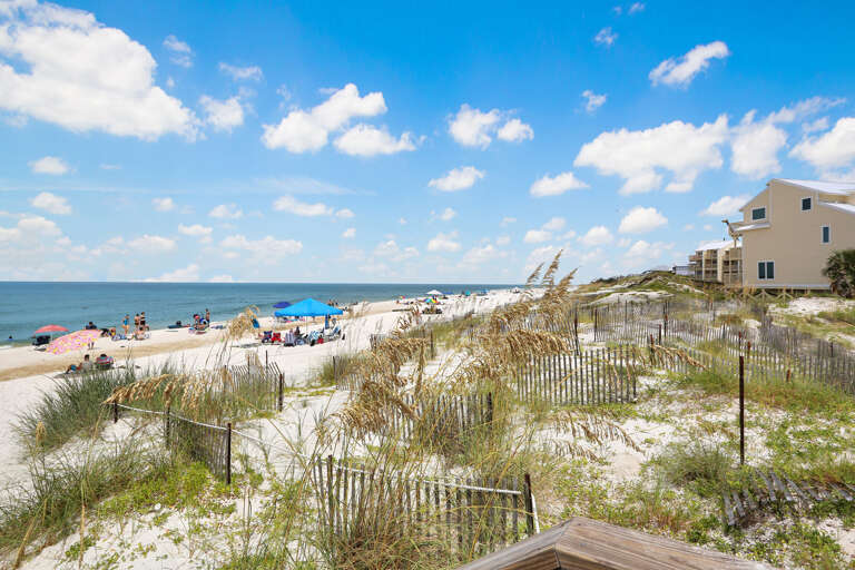 View to the North from the Community Boardwalk