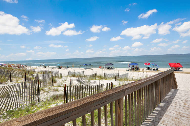 View to the South from Community Boardwalk