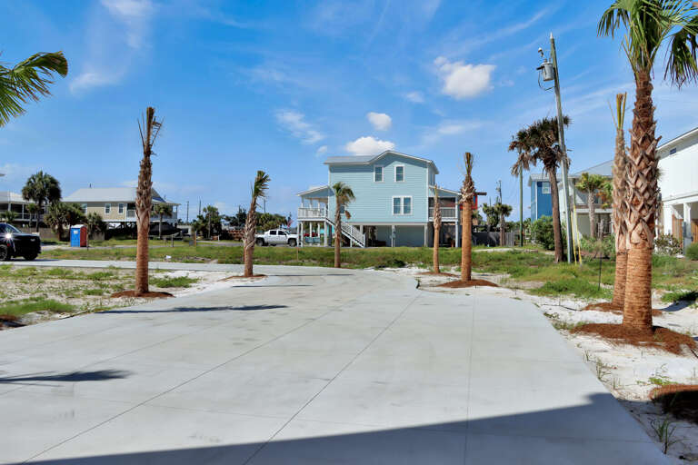Lots of Parking Lined in Palm Trees