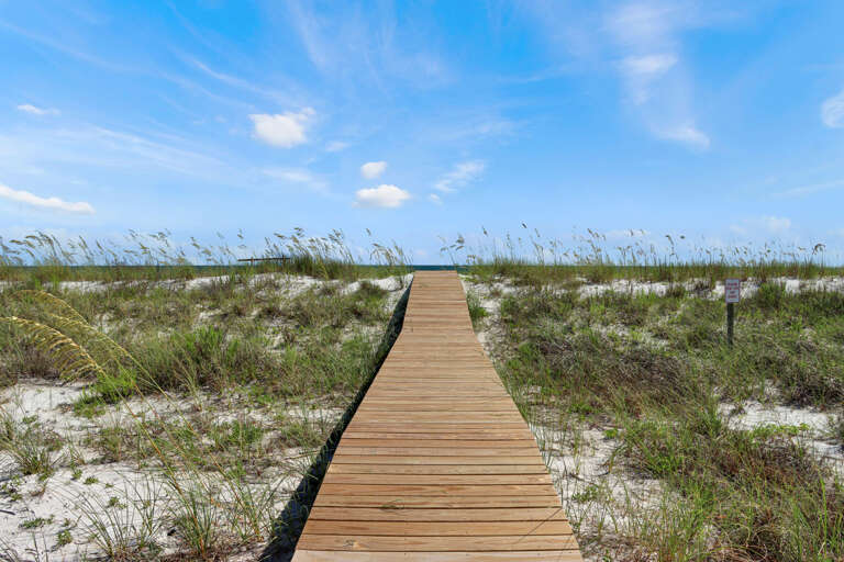 View of Boardwalk Over the Dunes