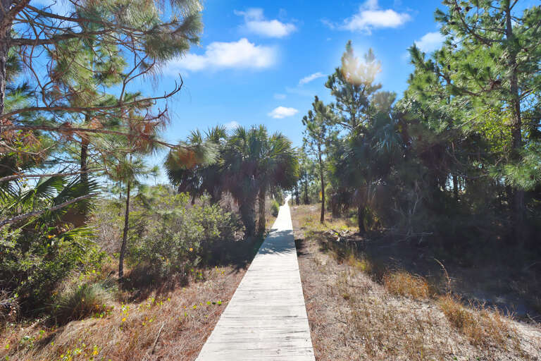 Take a Walk on the Wild Side