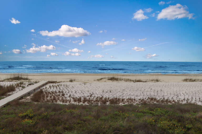 View of Indian Pass Beach