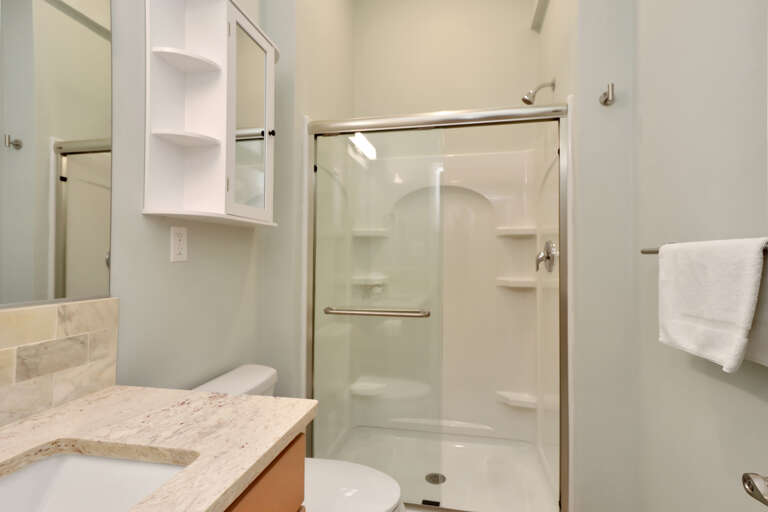 Dolphin Daze - Full Bath Shower