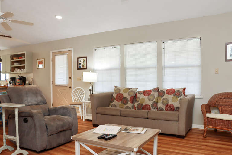 Living Room with Sleeper Sofa