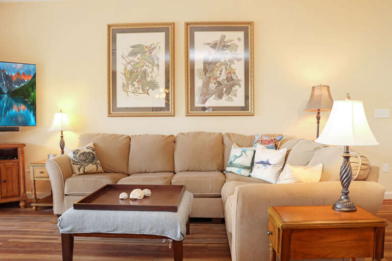 Living Room Living Room