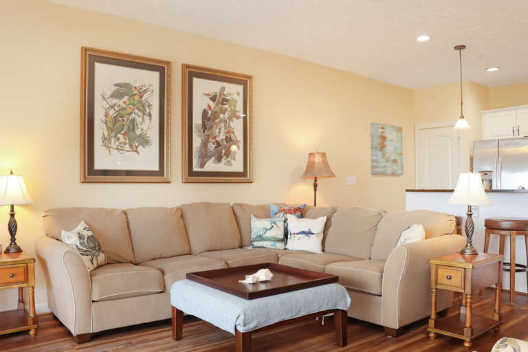 Living Room and Kitchen