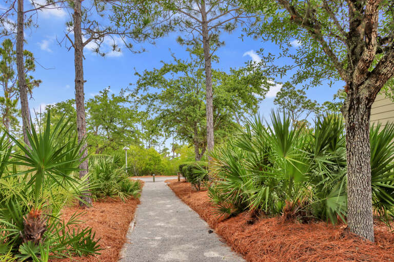 Nature Trails Through Neighborhood