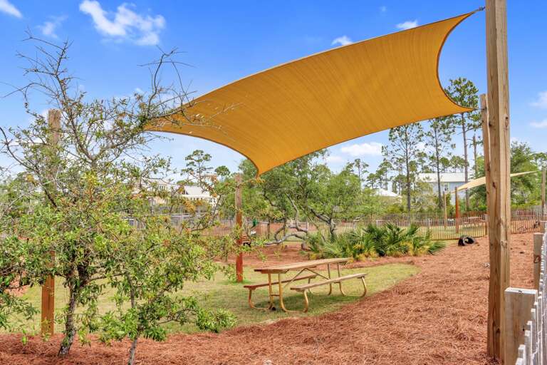 Shaded Picnic Table in Dog Park
