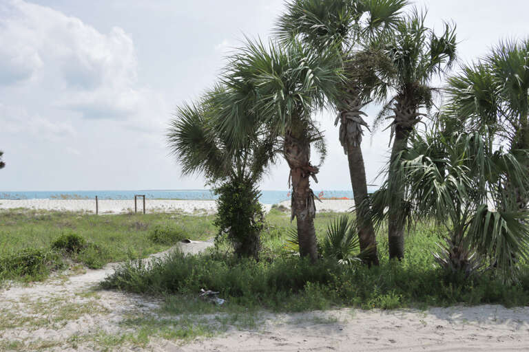 Beach Access Across the Street