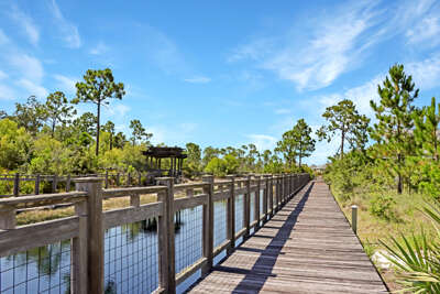 Community Boardwalk and Lake in Front of House Community Boardwalk and Lake in Front of House