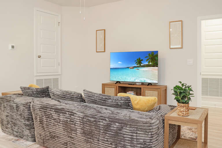 Den with Large TV