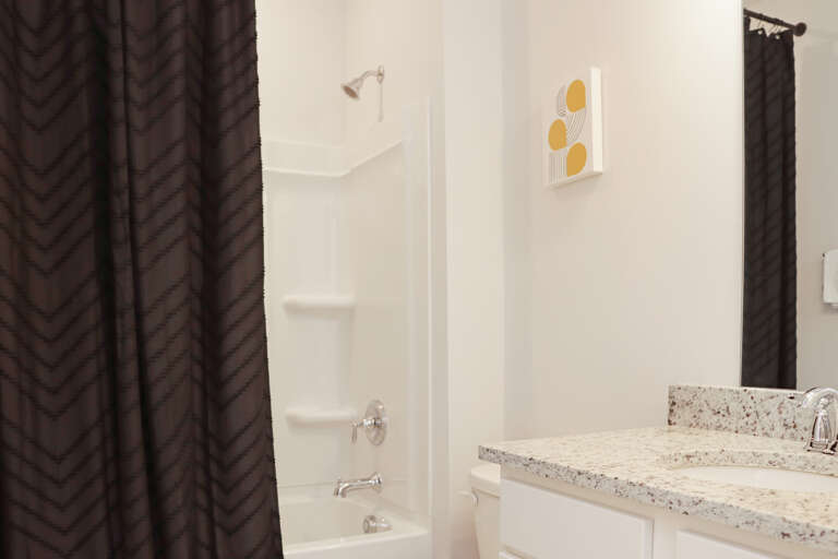 Full Bathroom in Den