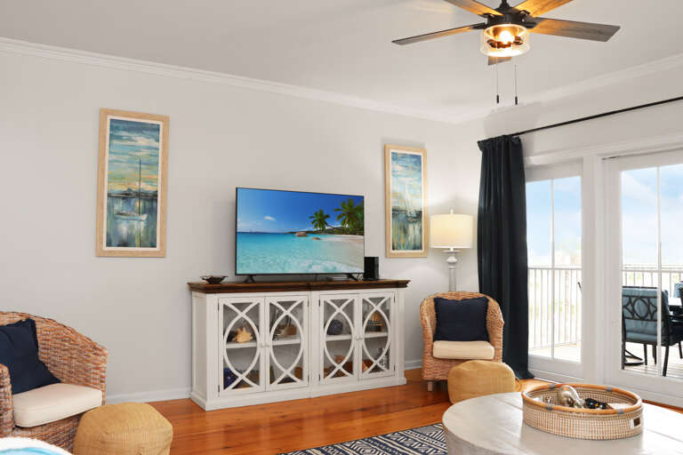 Living Room with TV Living Room with TV