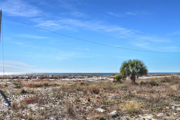 Beach in Front of House