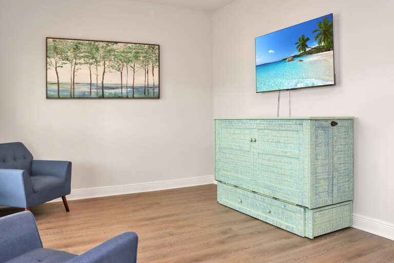 Den with Murphy Bed and TV